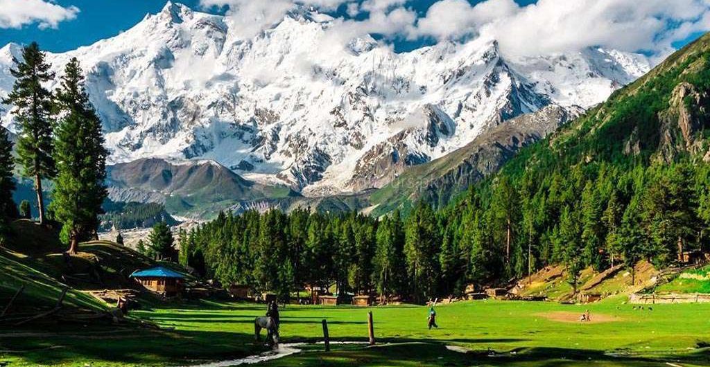 fairy-meadows -