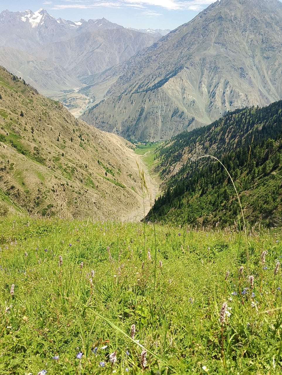 Best View Kala Pani Astore -