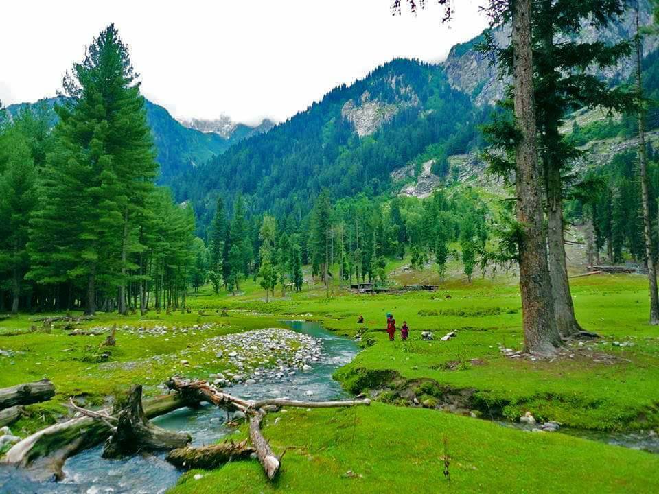 Natural scenery in Kumrat Valley, Pakistan -